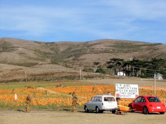 ...there are Volkswagens...